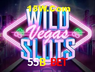 Experiência VIP 55B Bet